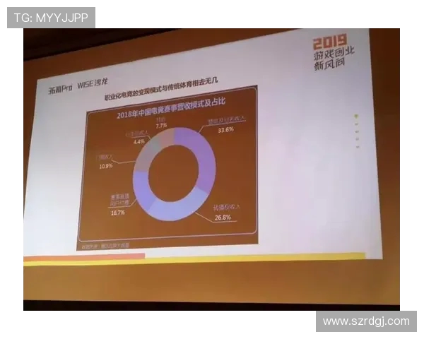 聚焦电竞职业联赛发展探讨赛事体系创新与选手职业化路径