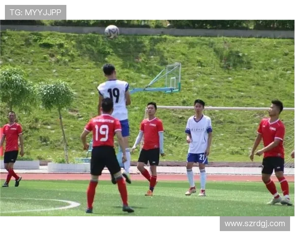 深圳网球队逆袭之路：城市联赛中的拼搏与荣耀之旅