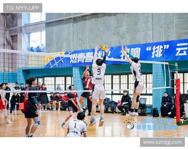 赛后分析：西安排球队与成都排球队实力对比及比赛亮点回顾