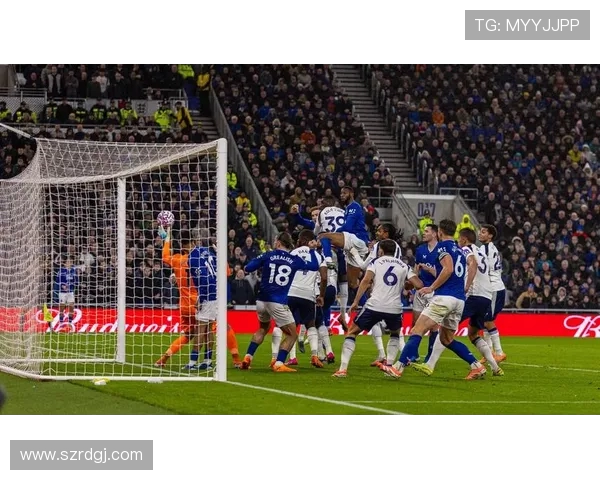 埃弗顿与热刺精彩对决全场录像回放及精彩瞬间分析