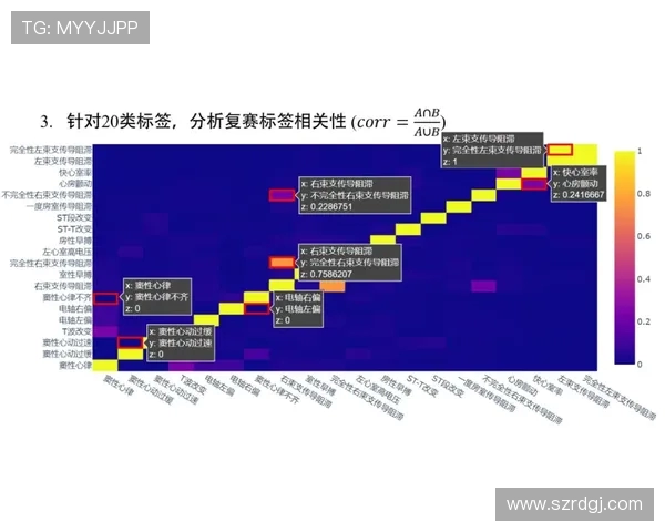 捷克与科索比赛分析及胜负预测深入解析